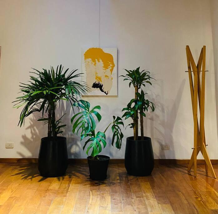 Appartamento Arts Loft, A Estrenar! Buenos Aires Esterno foto